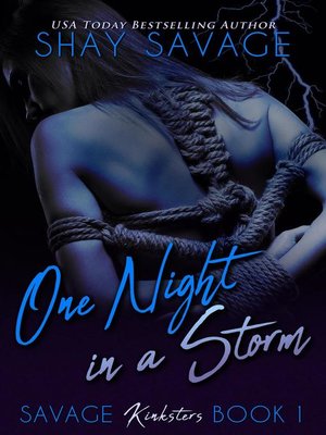 cover image of One Night in a Storm